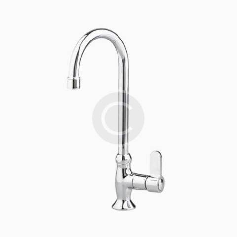 Industrial Bar Faucet